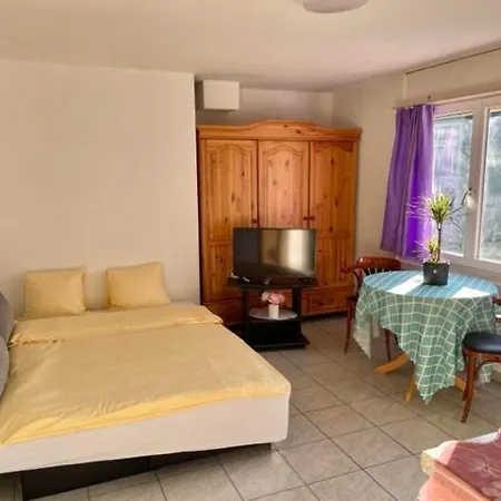 Apartment Aeschi 9 Interlaken